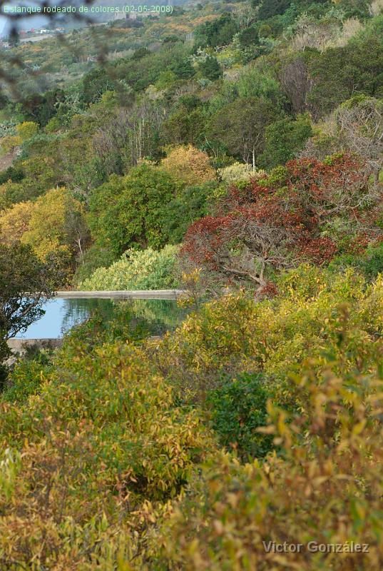 _DSC2361.jpg - Estanque rodeado de colores.(02-05-2008)