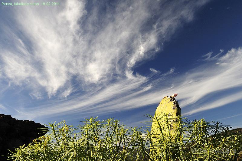 Penca19022011.jpg - Penca, tabaiba y cirros. 19-02-2011
