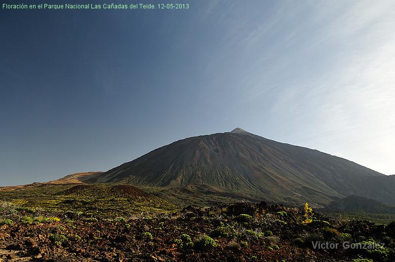 TeideFloracion12052013.jpg - Floración en el Parque Nacional Las Cañadas del Teide. 12-05-2013