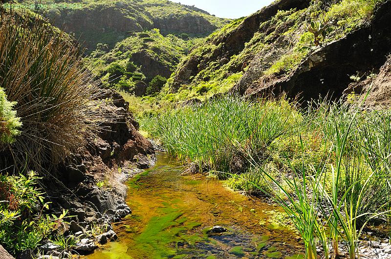 BarrancoAfur06042014.jpg - Barranco de Afur. 06-04-2014