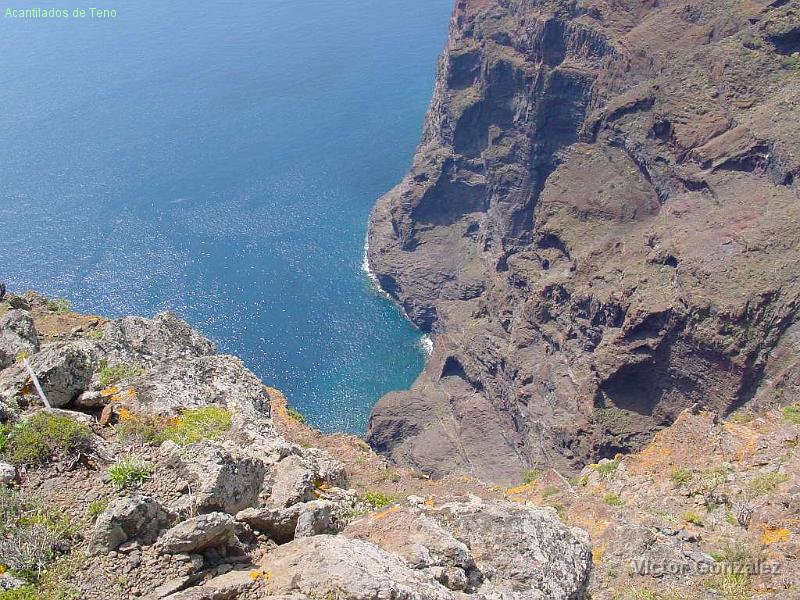 Teno.jpg - Acantilados de Teno