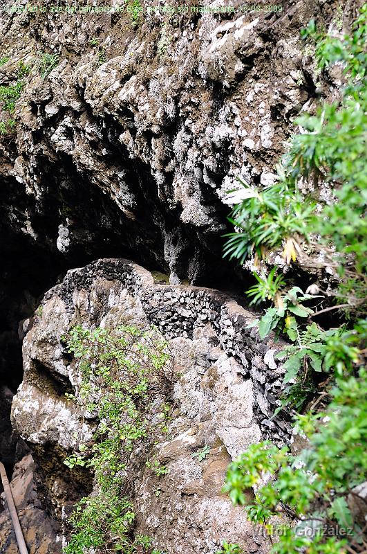 CanalBarrancoTalavera15032009.jpg - Canal en lo alto del barranco de Blas, se hizo sin maquinaria. 15-03-2009