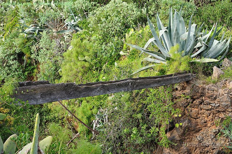 CanaldeTea13032009.jpg - Canal de tea sobre un barranco. 13-03-2009